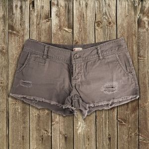 CLOSET CLOSING! Mossimo • Taupe Cotton Distressed Short Shorts